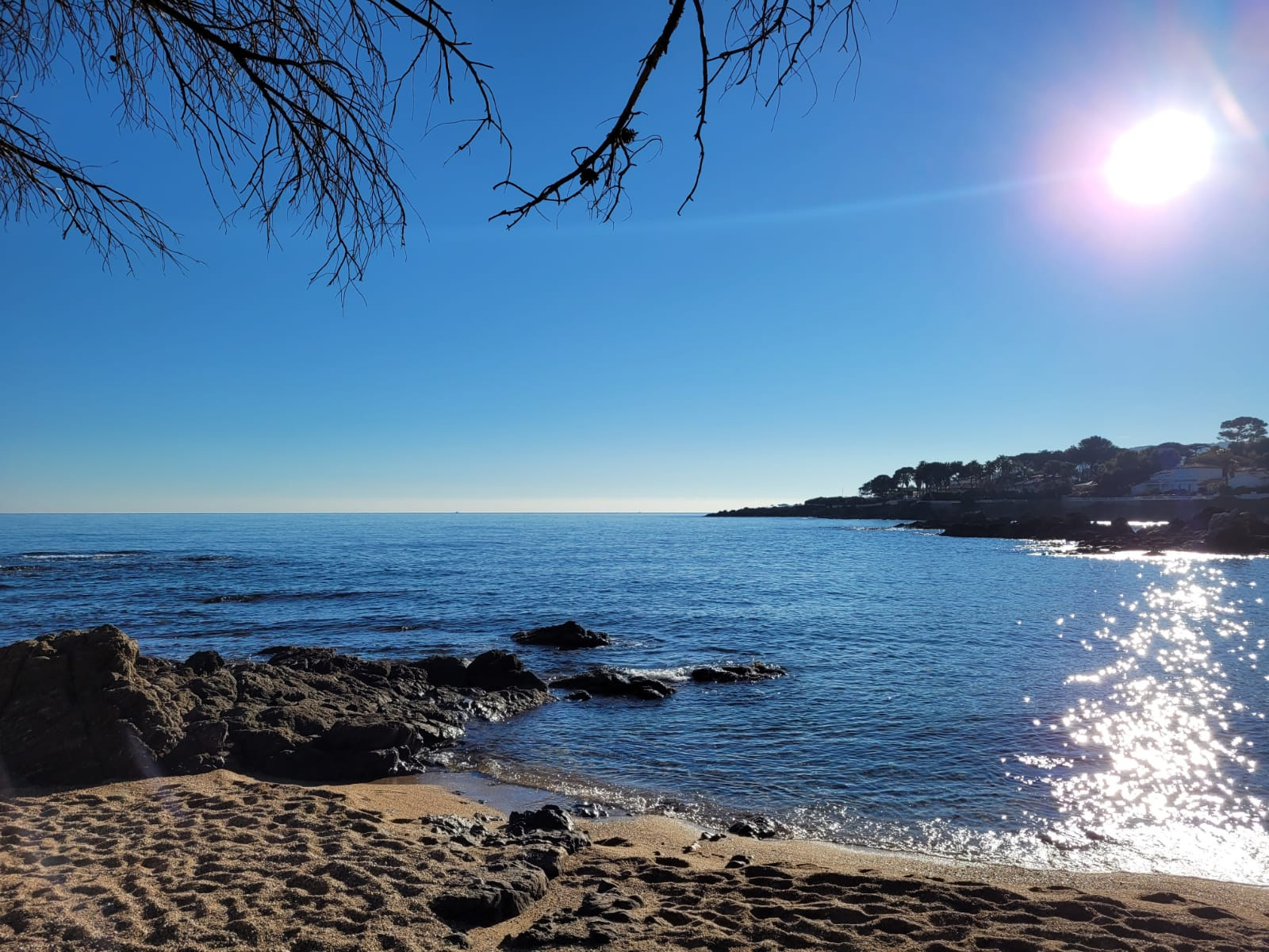 Agence immobilière de Centraffaires TOULON EST